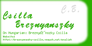 csilla breznyanszky business card